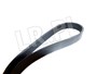 PASEK ALTERNATORA FREELANDER BEZ KLIMATY PQS101030DAYCO
