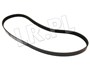 PASEK ALTERNATORA FREELANDER V6 BENZ. BE PQS101262LGEN