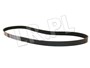 PASEK ALTERNATORA FREELANDER V6 BENZ. BE PQS101262LGEN
