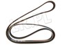 PASEK ALTERNATORA FREELANDER V6 BENZ. Z PQS101272LDAYCO