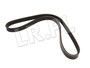 PASEK KLIMATYZACJI TD4 DO 2001 FREEL. PQS101310LALL
