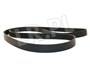 PASEK GLOWNY PLASKI (BEZ KLIMATYZACJI) - PQS101470DAYCO