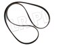 PASEK GLOWNY PLASKI (BEZ KLIMATYZACJI) - PQS101470DAYCO