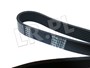 PASEK GLOWNY PLASKI (BEZ KLIMATYZACJI, B PQS101490ALL