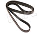 PASEK GLOWNY PLASKI (BEZ KLIMATYZACJI, B PQS101490DAYCO