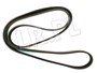 PASEK GLOWNY PLASKI (BEZ KLIMATYZACJI, B PQS101490DAYCO