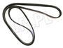 PASEK GLOWNY PLASKI (BEZ KLIMATYZACJI, B PQS101490DAYCO