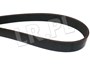 PASEK GLOWNY PLASKI (BEZ KLIMATYZACJI, B PQS101490GATES
