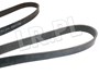 PASEK GLOWNY PLASKI Z KLIMATYZACJA,  BEZ PQS101500