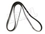PASEK GLOWNY PLASKI Z KLIMATYZACJA RR P3 PQS101630DAYCO
