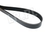 PASEK GLOWNY PLASKI Z KLIMATYZACJA RR P3 PQS101630DAYCO