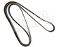 PASEK GLOWNY PLASKI - DISCOVERY 3 / 4 (4 PQS500081DAYCO
