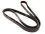 PASEK GLOWNY PLASKI - DISCOVERY 3 / 4 (4 PQS500081DAYCO