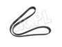 PASEK GLOWNY RR L322 4,4 V8 (SECONDARY) PQS500241DAYCO