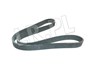 PASEK GLOWNY RR L322 4,4 V8 (SECONDARY) PQS500241DAYCO