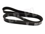 PASEK GLOWNY PLASKI - DISCOVERY 3 / 4 / PQS500370DAYCO