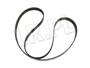 PASEK GLOWNY PLASKI - DISCOVERY 3 / 4 / PQS500370GEN