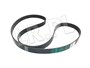 PASEK GLOWNY PLASKI - DISCOVERY 3 / 4 / PQS500370GEN