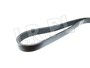 PASEK GLOWNY PLASKI - RR SPORT 3,6 V8 Z PQS500460