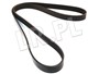 PASEK GLOWNY PLASKI - RR SPORT 3,6 V8 Z PQS500460DAYCO