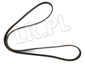PASEK GLOWNY PLASKI - RR SPORT 3,6 V8 Z PQS500460DAYCO