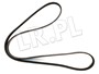PASEK GLOWNY PLASKI - RR SPORT 3,6 V8 Z PQS500460DAYCO