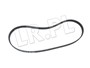 PASEK GLOWNY PLASKI RR SPORT / RR SPORT PQS500460GEN