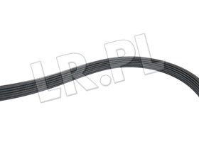 PASEK GLOWNY PLASKI RR SPORT / RR SPORT PQS500460GEN