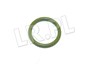 ORING PRZEWODOW OLEJOWYCH SERWO DISCOVER QED100100GEN