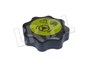 KOREK ZBIORNIKA SERWO FREELANDER / DISCO QEZ100120GEN