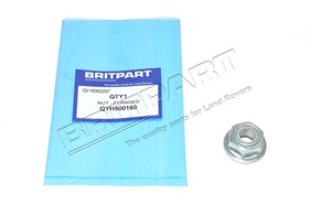 NUT - FLANGED QYH500160