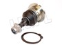 SWORZEN WAHACZA PRZOD (GORA) RR SPORT / RBK500030