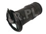 PODUSZKA POWIETRZNA ZAWIESZENIA TYL - RR RKB101460DUNLOP