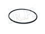 O-RING OBUDOWY LOZYSKA DYFERENCJALU TYL RTC1340GEN