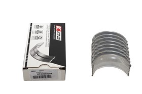 PANEWKI KORBOWE LR 2,5 BENZYNA/2,5 D/200 RTC2993KING