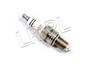 SWIECA ZAPLONOWA V8 GAZNIK DO 82 (N12Y) RTC3570