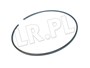 SNAP RING RTC5181GEN