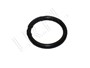 ORING FILTRA OLEJU SKRZYNI AUTOMAT ZF (D RTC5818