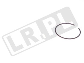 SEGER ZABEZPIECZAJACY LOZYSKO PIASTY PRZ RUE100031GEN