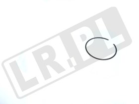 SEGER ZABEZPIECZAJACY LOZYSKO PIASTY PRZ RUE100031GEN