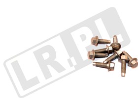SRUBA M6 RYG500190GEN