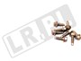 SRUBA M6 RYG500190GEN