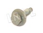 SRUBA M6 RYG500840GEN