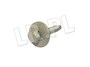 SRUBA M6 RYG500900GEN