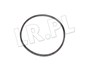 ORING MECHANIZMU ROZNICOWEGO PRZOD RR L3 RYX000010GEN