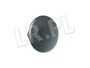 ZASLEPKA LISTWY DACHOWEJ DISCOVERY 3 / D RZM500041GEN