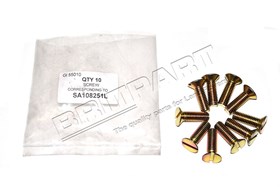 SCREW SA108251LG