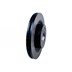 TARCZA HAMULCOWA PRZOD - DISCOVERY 3 / R SDB000614TRW