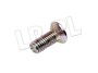 SRUBA TARCZY HAMULCOWEJ DISCO II / RR P3 SF108201L-G