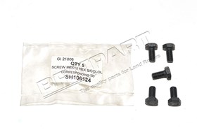 SCREW SH106124G